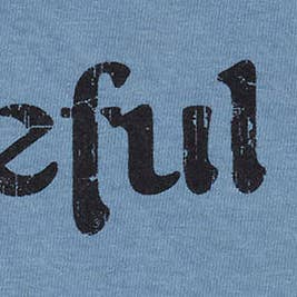 Grateful Dead Distressed Steal Your Face T-Shirt